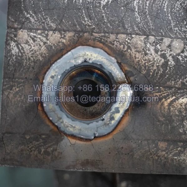 Clad Steel Plate